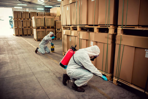 Best Local Pest Control Services  in St Michaels, MD