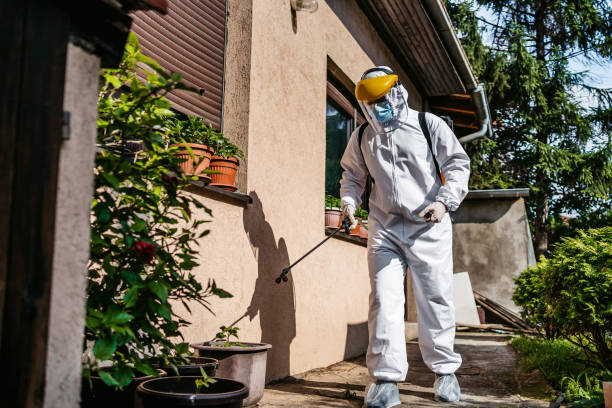 Best Mosquito Control Services  in St Michaels, MD