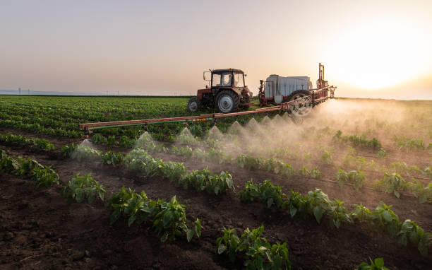 Best Commercial Pest Control Services  in St Michaels, MD