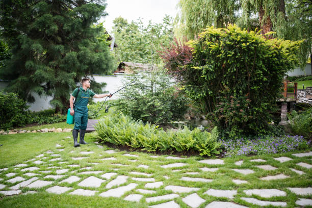 Best Insect Control  in St Michaels, MD