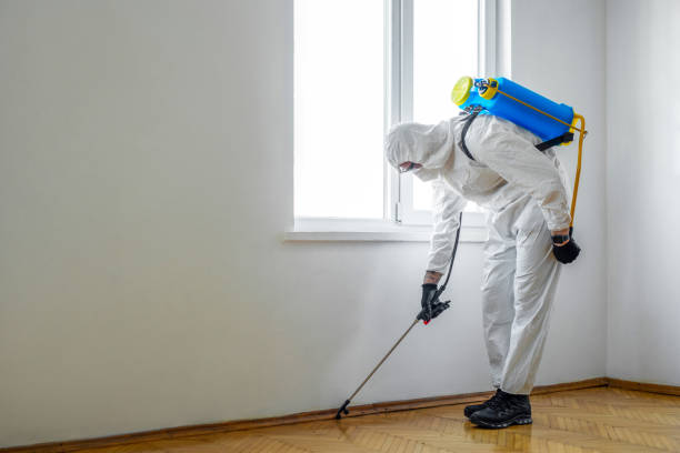 Best Flea Control Services  in St Michaels, MD