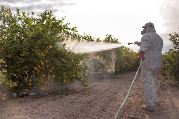 Pest Prevention Services in St Michaels, MD