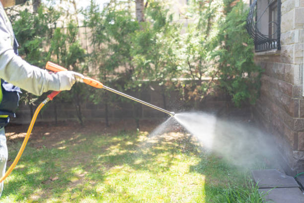 Best Best Pest Control Companies  in St Michaels, MD