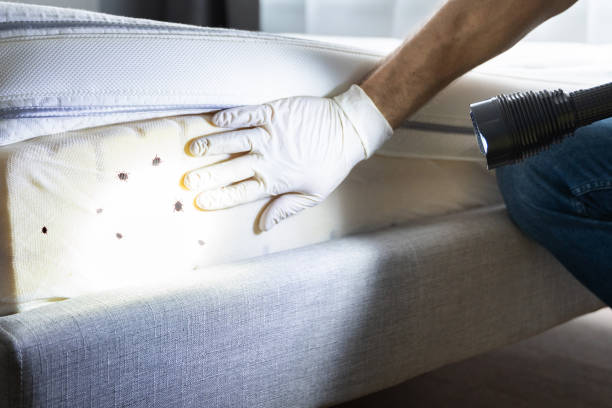 Best Best Pest Control Companies  in St Michaels, MD